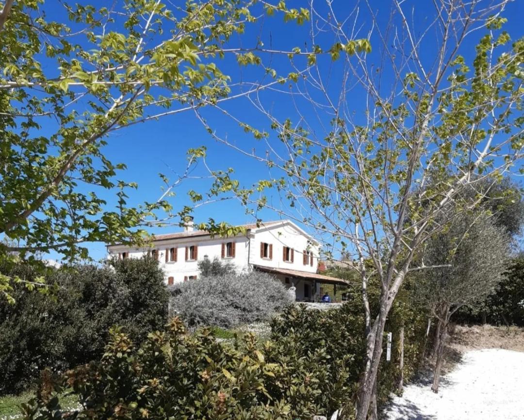 Rustico Del Bozzo Casa de hóspedes Castelleone di Suasa Exterior foto