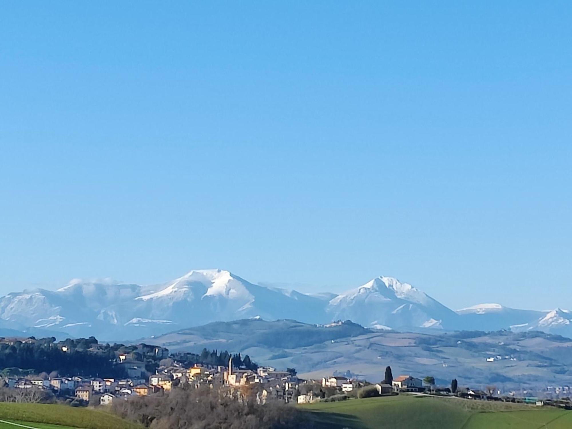 Rustico Del Bozzo Casa de hóspedes Castelleone di Suasa Exterior foto