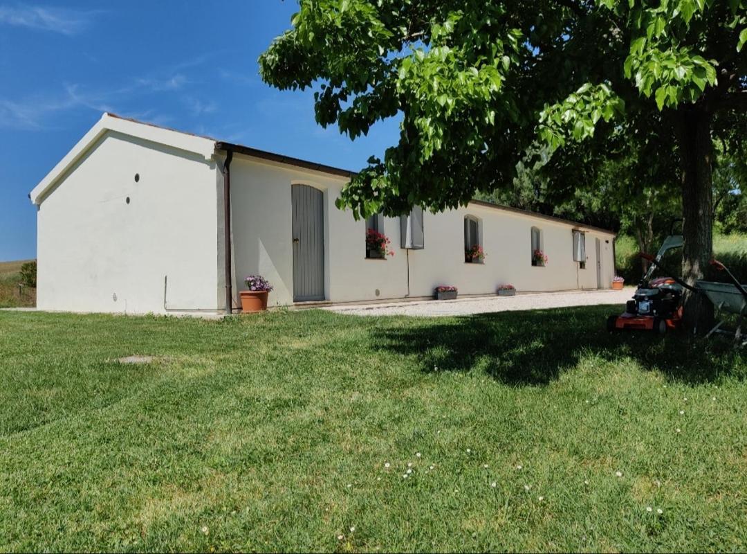 Rustico Del Bozzo Casa de hóspedes Castelleone di Suasa Exterior foto